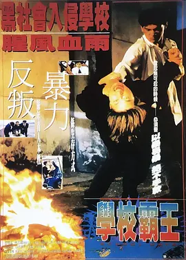 小入视频