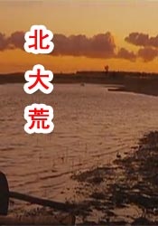 三级自拍视频