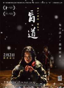 久久精品视频va