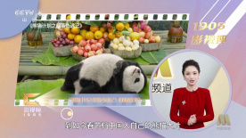 jennahaze欧美精品